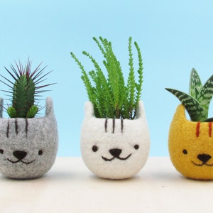 Handmade gift for girlfriend, 7th anniversary, Coworker Valentine's Day gift for cat lovers, succulent planter, Neko Atsume