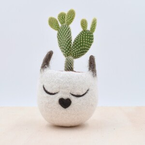 Siamese cat lovers 7th Anniversary gift for her, home decor, pet lover, Mini succulent planter, Cat planter, Small pot, Valentine gift image 3