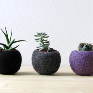 Felt succulent planter collection / black grey purple / Succulent terrarium / the dark side of the moon / home decor