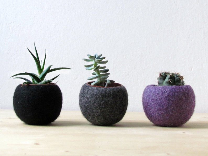 Felt succulent planter collection / black grey purple / Succulent terrarium / the dark side of the moon / home decor image 1