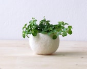 Felt succulent planter / Air plant holder / felted bowl / Mini flower vase / wedding gift / place holder / gift for her