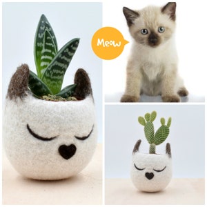 Siamese cat lovers 7th Anniversary gift for her, home decor, pet lover, Mini succulent planter, Cat planter, Small pot, Valentine gift imagen 2