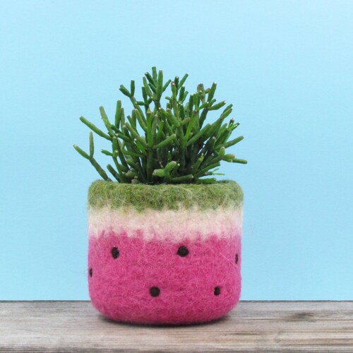 Cactus vase | coworker gift, Housewarming gift for her Felt succulent planter Watermelon vase bring summer outdoor in Felted planter