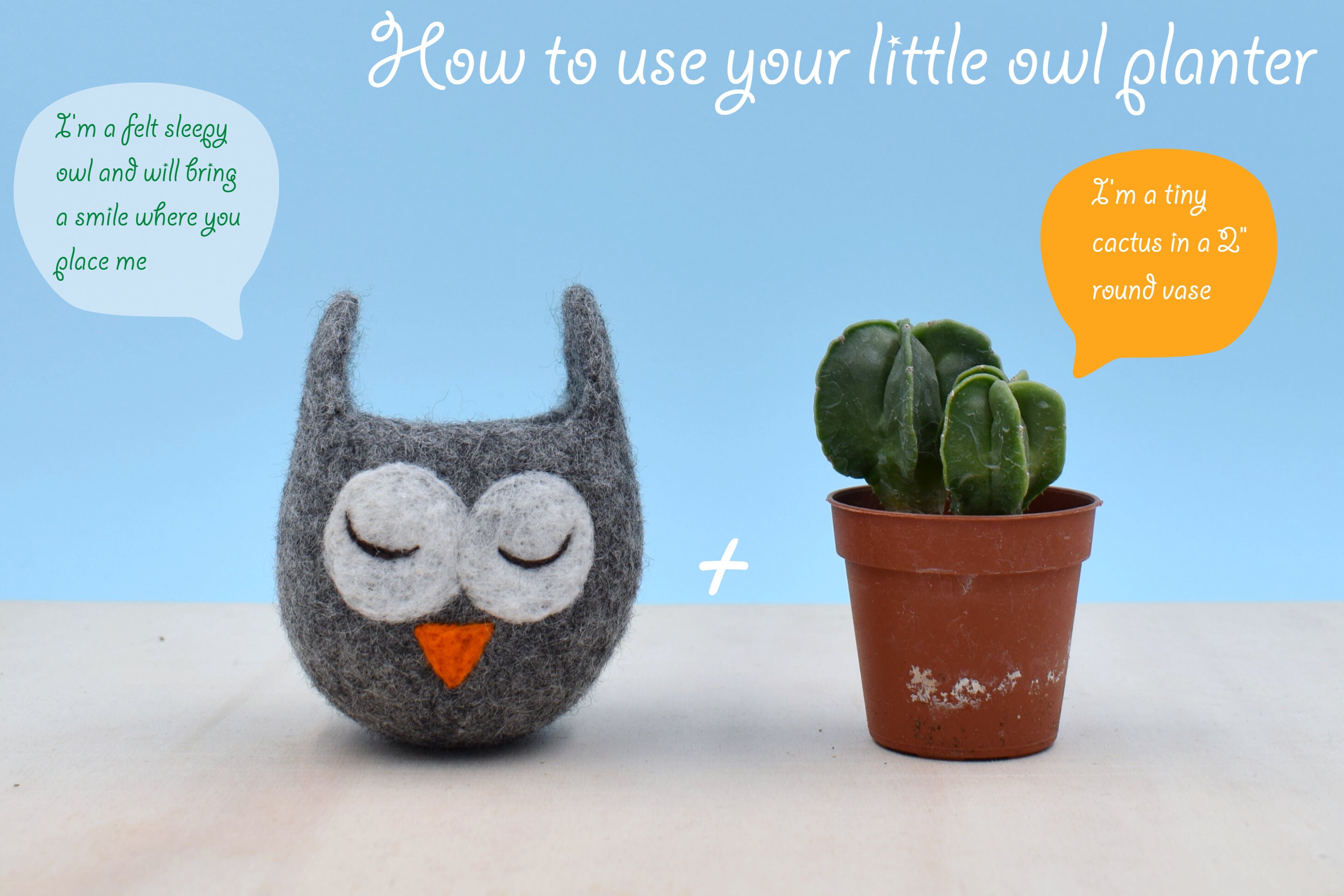 Succulent Planter Gift Set Best Friend Birthday Gift Flower Etsy