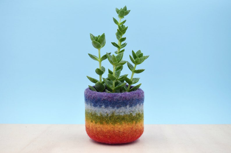 Rainbow gay pride gift LGBT gift, coworker gift, happy pride gifts, succulent planter, pride flag, love is love, housewarming gift 1 vase Purple on top