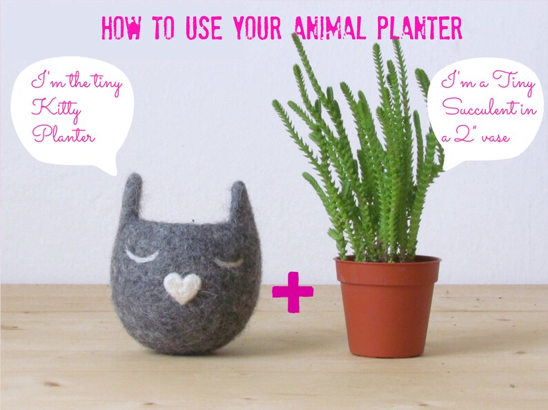 Personalized planter / Cat / Small succulent pot / Felt succulent planter / cat lover gift image 3