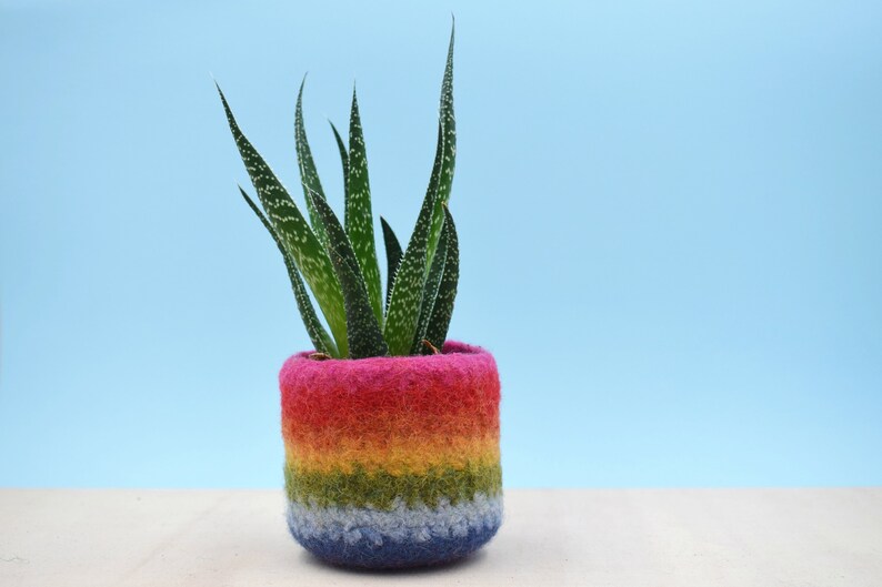 Rainbow gay pride gift LGBT gift, coworker gift, happy pride gifts, succulent planter, pride flag, love is love, housewarming gift 1 vase pink in top