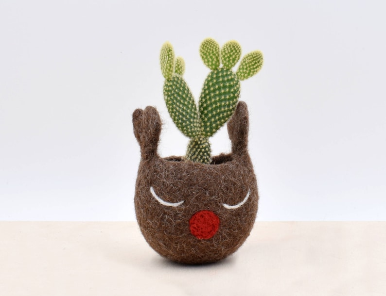 Christmas gift idea / Succulent planter / Brown Felt vase / gift for her / Rudy the red nosed reindeer planter image 2