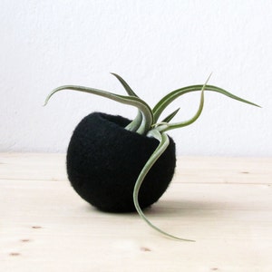 Felt succulent planter collection / black grey purple / Succulent terrarium / the dark side of the moon / home decor image 2