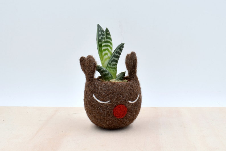Christmas gift idea / Succulent planter / Brown Felt vase / gift for her / Rudy the red nosed reindeer planter image 1