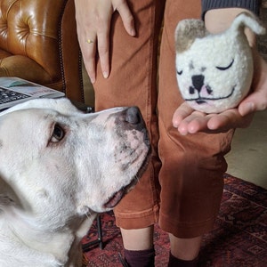 Picture of a dog and a planter mini-me made with wool felt