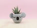 Koala  bear windowsill succulent planter |  mother gift for animal lover, Cute plants pots, Personalized gift, unique planter 