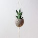 see more listings in the Hanging Planters section