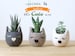 Cat lover gift set for her | wool 7th anniversary gift for pet lover, indoor planters, housewarming gift, new home decor, coworker gift 