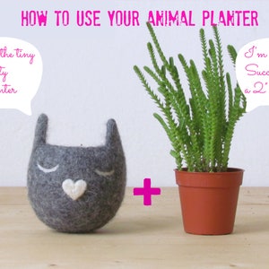 Cute plant pot Cat lover gift, cat planter, mother day gift for her, Felt succulent planter, Neko Atsume, Grey cat vase, Kawaii kitty gift image 3