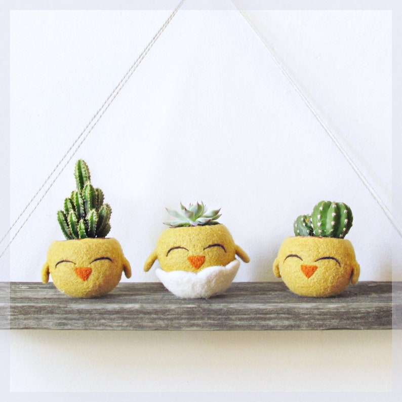 Funny indoor planter  happy chick succulent planter  cute image 2