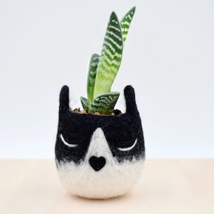 Tuxedo cat mini succulent planter Pet accessories, Mother gift for the cat lover, indoor planter, Small pot, Valentine gift for her image 1