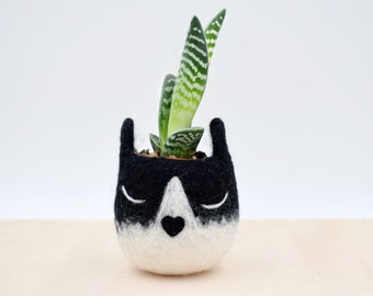 Tuxedo cat mini succulent planter | Pet accessories, Valentine gift for cat lover, indoor planter, Small pot,  gift for her