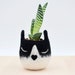 see more listings in the Cat Lovers Planters section