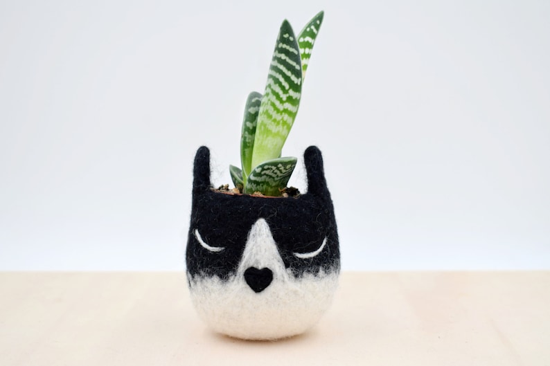 Tuxedo cat mini succulent planter Pet accessories, Mother gift for the cat lover, indoor planter, Small pot, Valentine gift for her image 1