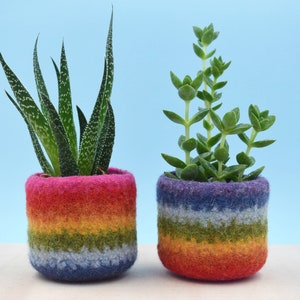 Rainbow gay pride gift LGBT gift, coworker gift, happy pride gifts, succulent planter, pride flag, love is love, housewarming gift I want both!