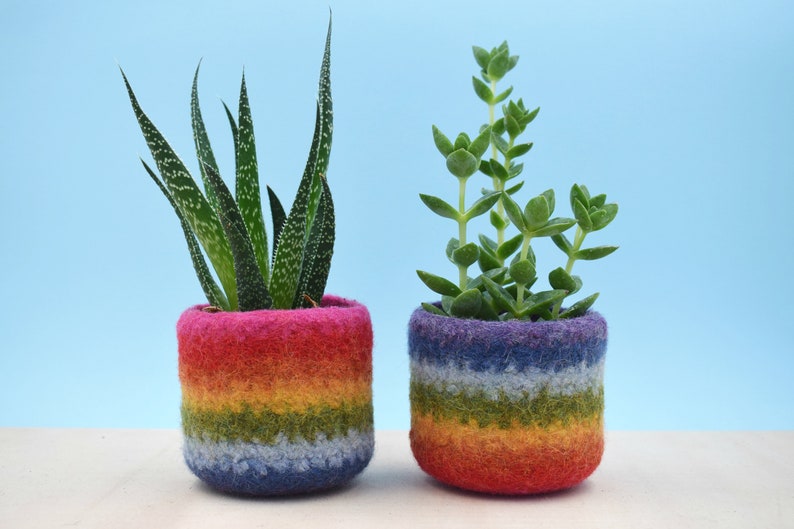 Rainbow gay pride gift LGBT gift, coworker gift, happy pride gifts, succulent planter, pride flag, love is love, housewarming gift I want both!