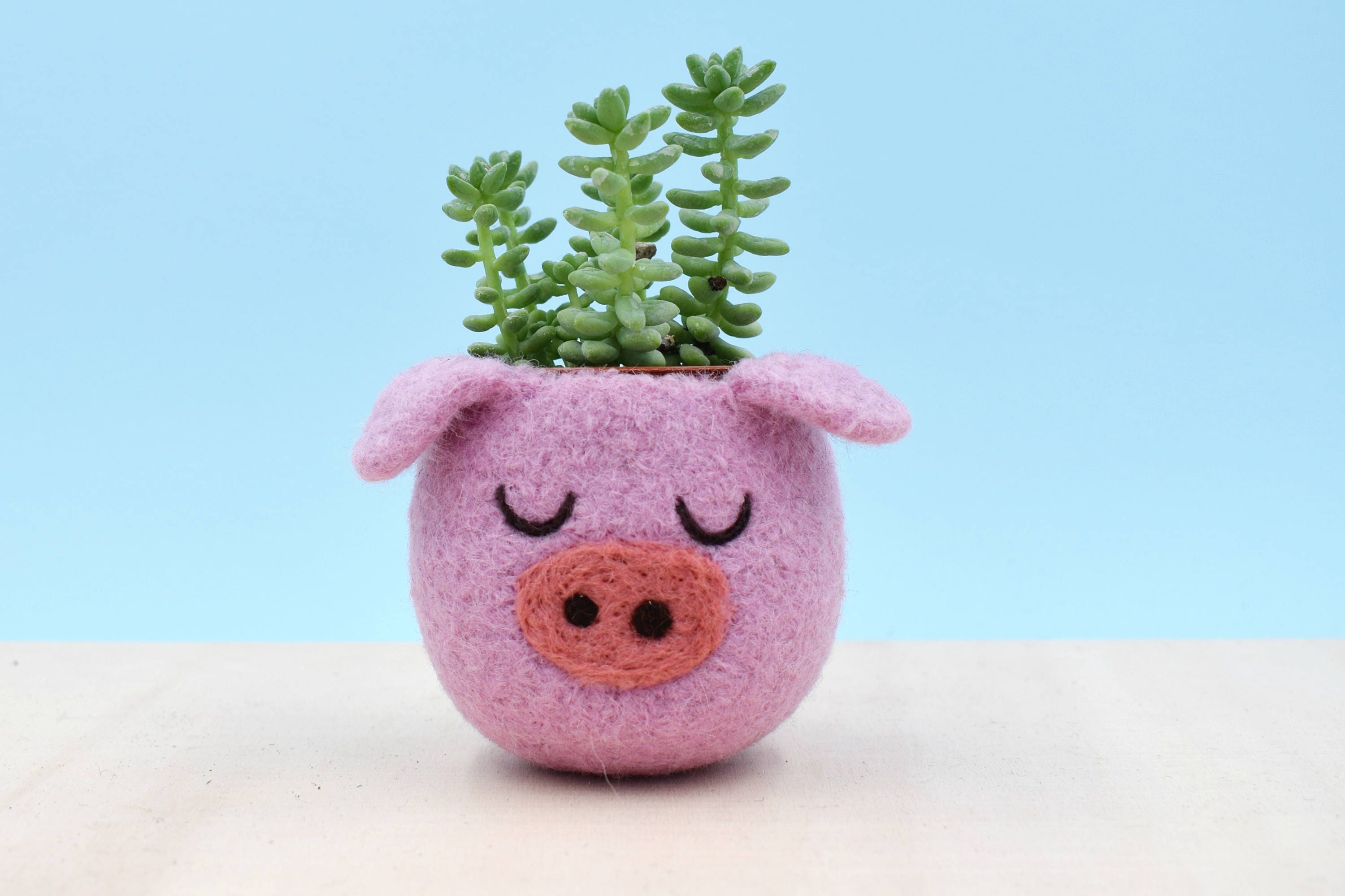 Pig vase best sale