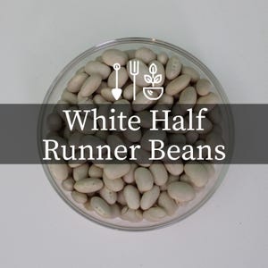 White Half Runner Bean Seeds