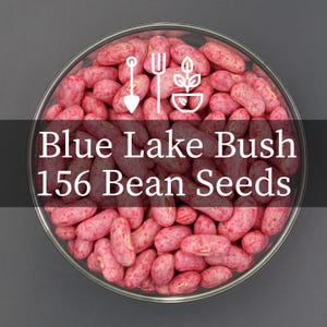 May include: A clear glass bowl filled with pink and white Blue Lake Bush bean seeds. The text "Blue Lake Bush 156 Bean Seeds" is displayed on the image. White gardening icons are also present.