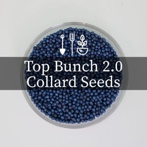 Top Bunch 2.0 Hybrid Collards Seeds