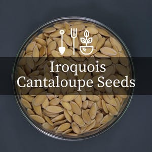 May include: A clear glass bowl filled with light tan Iroquois cantaloupe seeds. The seeds are oval-shaped and densely packed. White gardening icons are at the top of the image. The text "Iroquois Cantaloupe Seeds" is displayed in white.