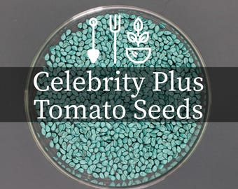 Celebrity Plus Hybrid Tomato Seeds | Disease‑Resistant Determinate Variety | 15 Treated Non‑GMO Seeds
