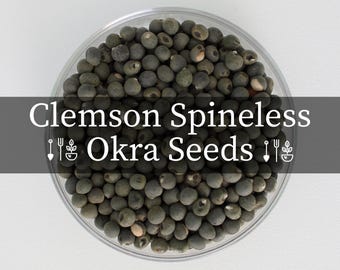 Clemson Spineless 80 Okra Seeds