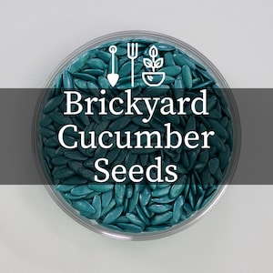 May include: A clear plastic container filled with teal-colored cucumber seeds. The text "Brickyard Cucumber Seeds" is displayed in white across the center. Above the text are gardening icons of a shovel, fork, and plant.