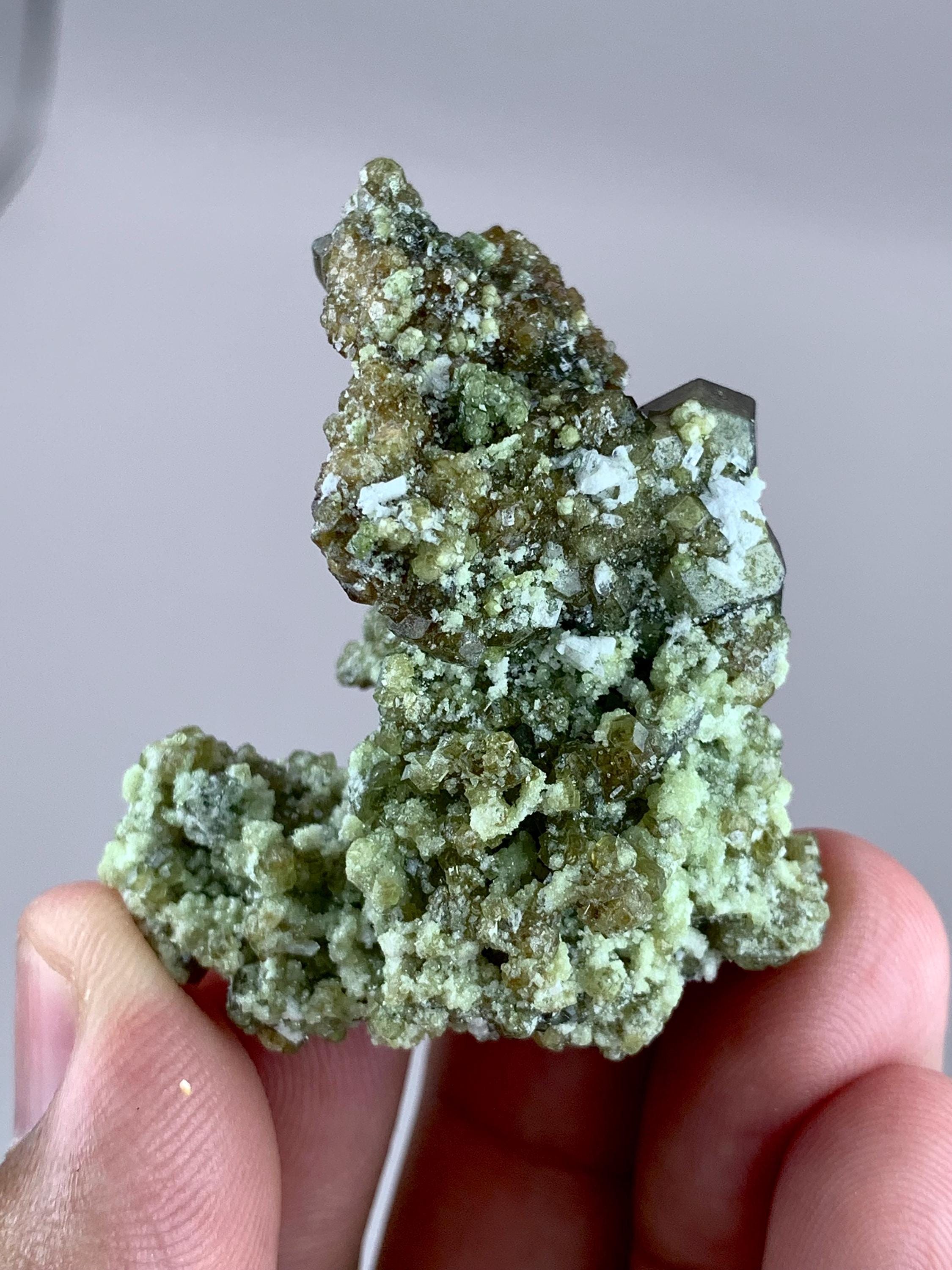 アンドラダイトガーネット結晶クラスター - スカルドゥ標本、40グラム