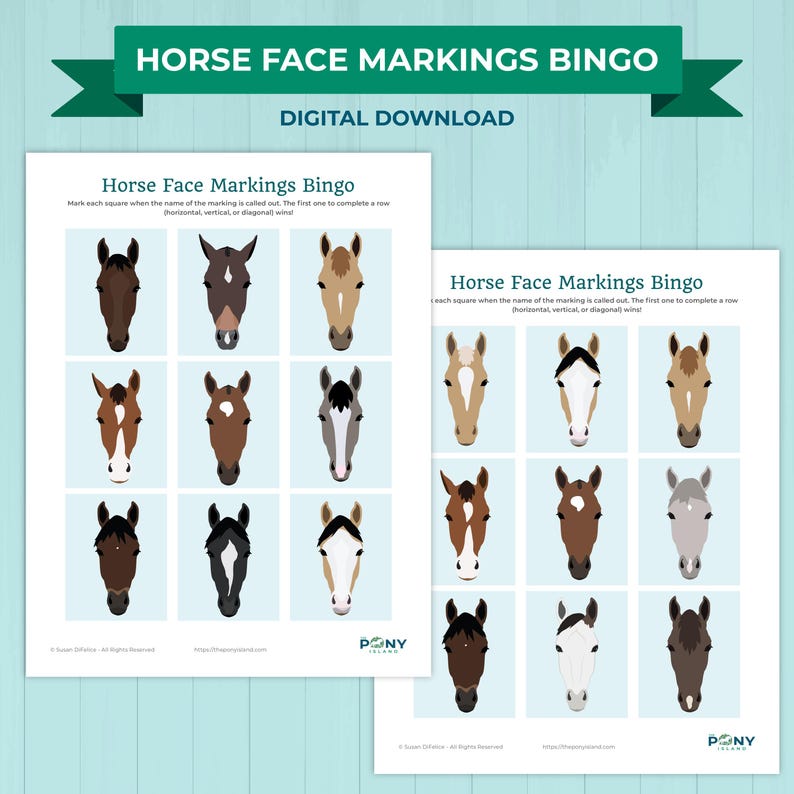 Horse Face Markings Bingo Game Printable – Kids Horse Learning Activity ...