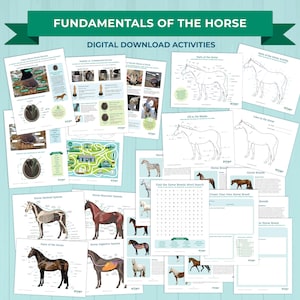 May include: A selection of digital download activities focused on horses. The pages feature diagrams of horse anatomy, various horse breeds, and a word search. The title "Fundamentals of the Horse" is displayed at the top in a green banner.