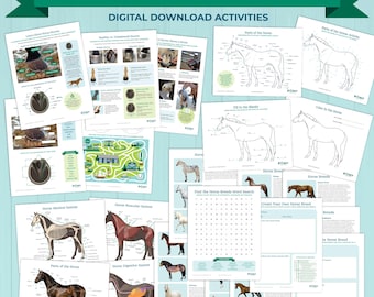 Fundamentals of the Horse Bundle– Printable Learning Pack for Young Equestrians