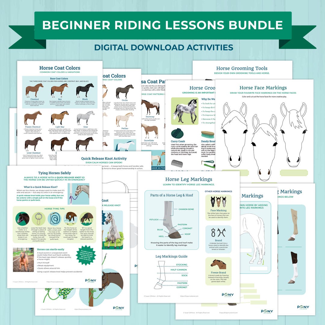 Horse Riding Basics Learning Pack | Beginner Riding Lesson Activities ...