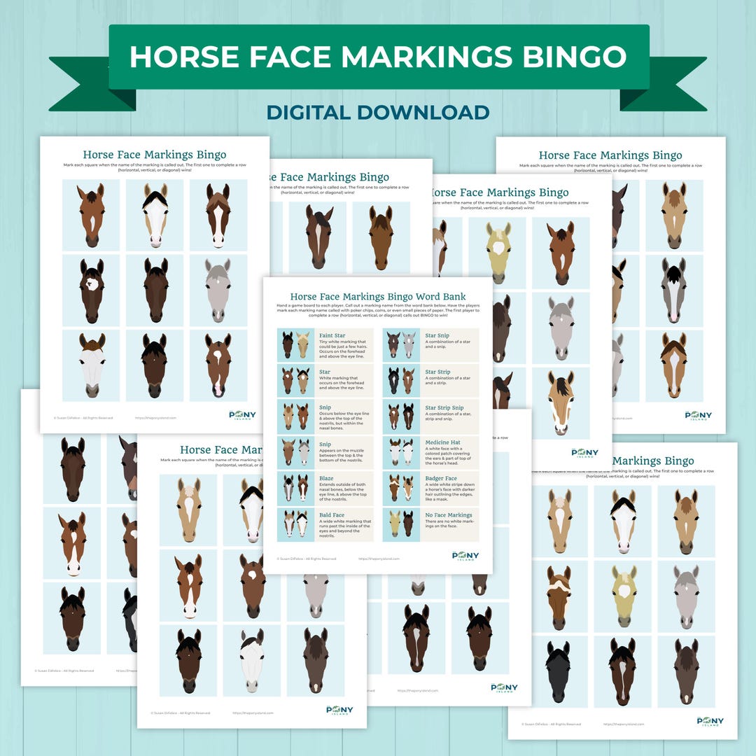 Horse Face Markings Bingo Game Printable – Kids Horse Learning Activity ...