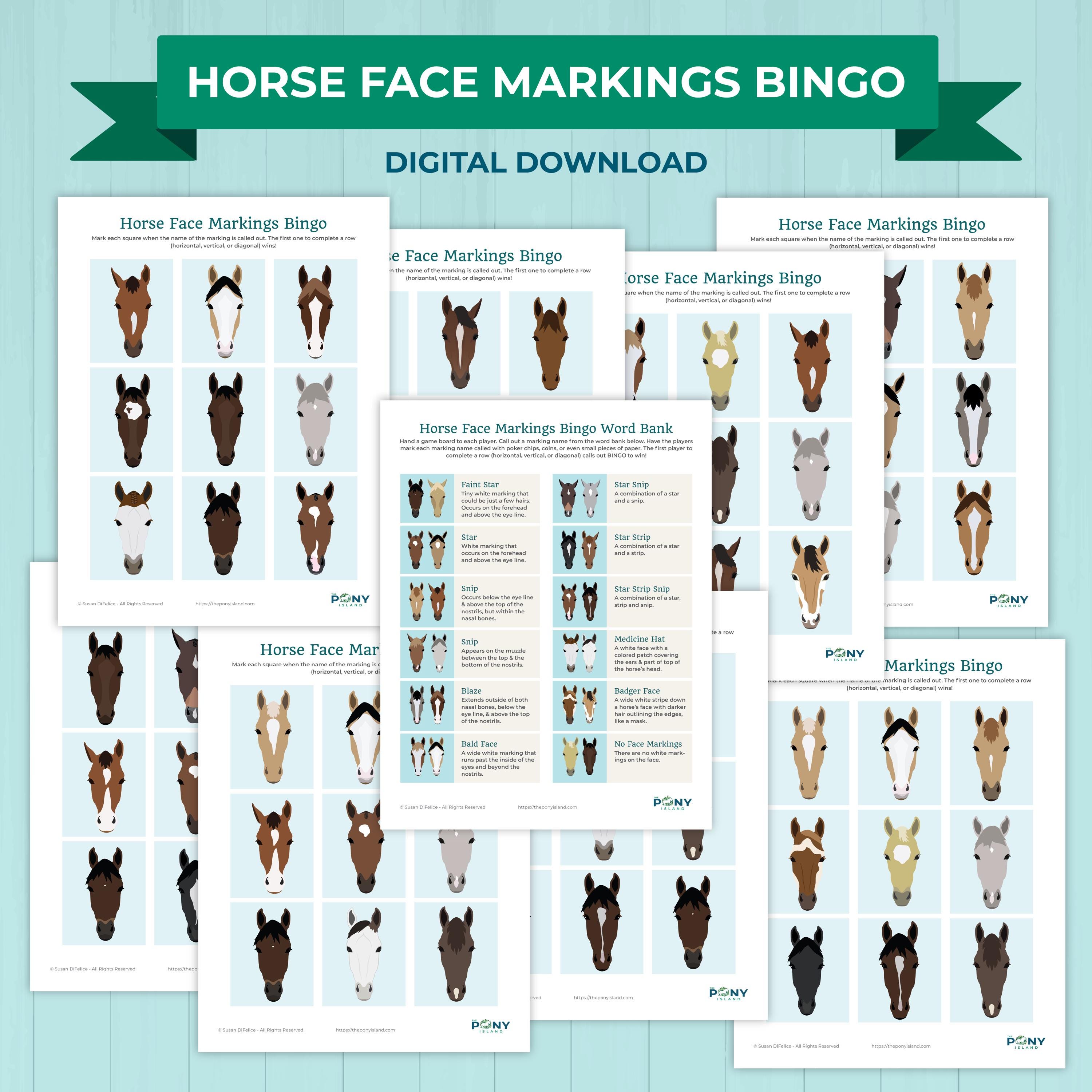 Horse Face Markings Bingo Game Printable – Kids Horse Learning Activity ...