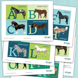 Könnte beinhalten: Eine Sammlung von Lernpostern mit verschiedenen Pferderassen, jeweils mit einem großen Buchstaben versehen. Zu den Rassen gehören Appaloosa, Banker Pony, Clydesdale, Dutch Warmblood, Friesian, Haflinger, Knabstrupper und Lusitano. Die Poster haben ein grünes und blaues Farbschema.