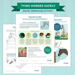 May include: A digital download activity titled "Tying Horses Safely" with illustrations and instructions on horse safety. The guide includes diagrams on quick release knots and horse tying tips. The document is on a light blue background.