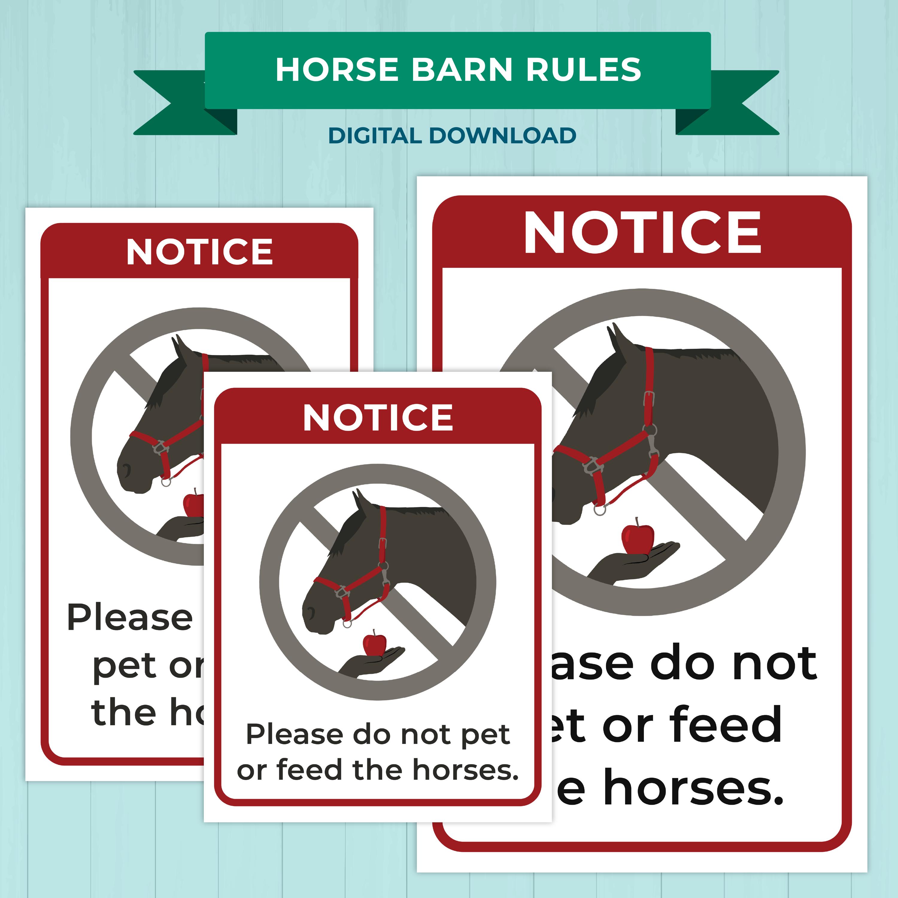 Triple Riding Vilation Sign Horse Barn Rules Printable Pack | Riding Stable Safety Signs + Kids ...