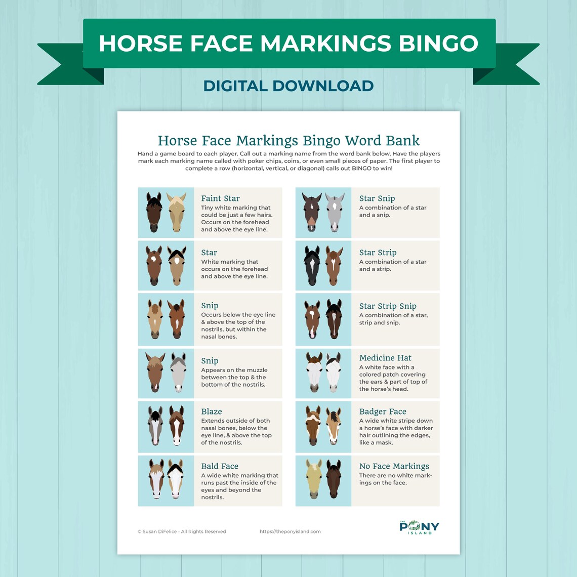 Horse Face Markings Bingo Game Printable – Kids Horse Learning Activity ...