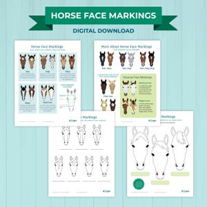 May include: A set of educational printables detailing horse face markings. The documents show diagrams and illustrations of different facial markings, such as stars, stripes, and blazes. The banner at the top reads "Horse Face Markings" and "Digital Download."