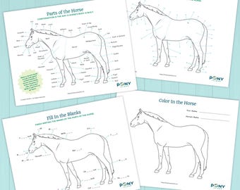 Actividades sobre las partes del caballo: paquete de hojas de trabajo imprimibles para niños / Páginas de aprendizaje ecuestre