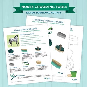 Horse Grooming Tools Activity PDF Download