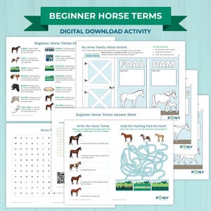 Könnte beinhalten: Digitale Download-Aktivitätsblätter zum Erlernen von Anfänger-Pferdebegriffen. Enthält Definitionen, Diagramme und Aktivitäten. Mit dem Text "Beginner Horse Terms" und "Digital Download Activity".