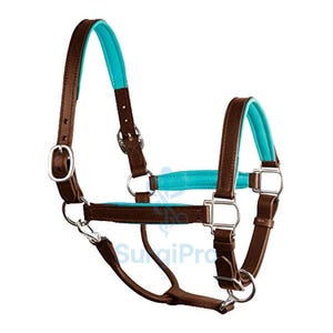 May include: A brown leather horse halter with turquoise padding. The halter features adjustable straps, silver-coloured metal hardware, and a contoured design for comfort. The halter is designed for equine use.